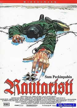 Rautaristi
