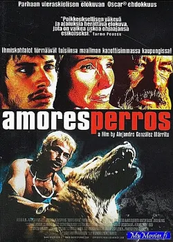 Amores perros