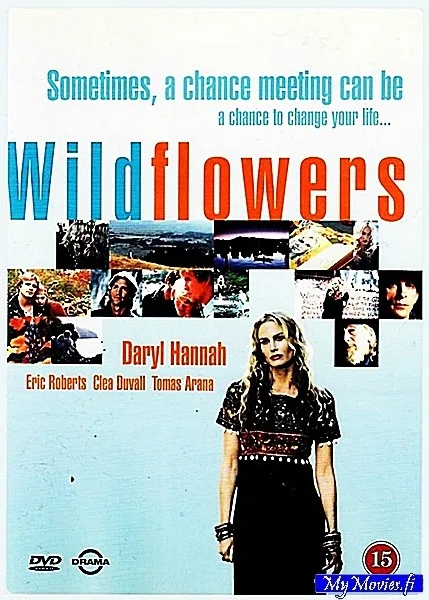 Wildflowers