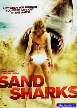 Sand Sharks
