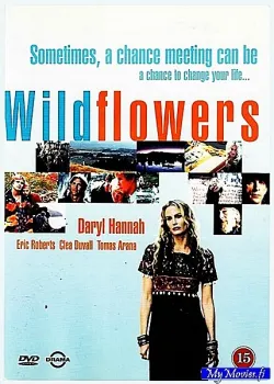 Wildflowers
