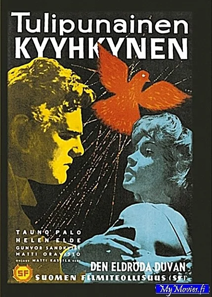 Tulipunainen kyyhkynen