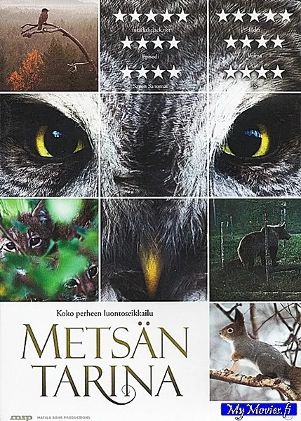 Metsän tarina