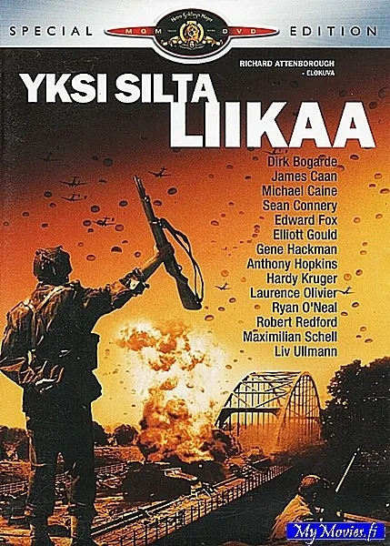 Yksi silta liikaa