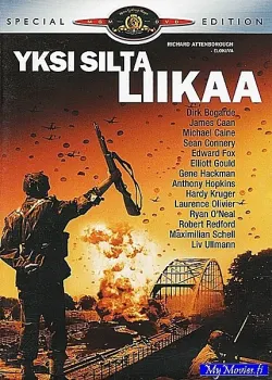Yksi silta liikaa