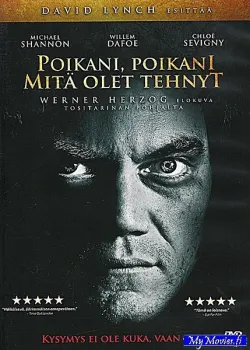 Poikani, Poikani, mitä olet tehnyt