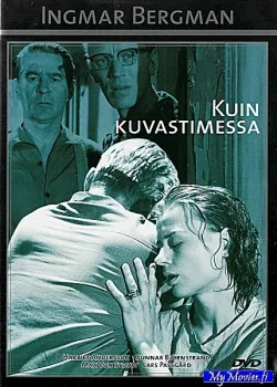 Kuin kuvastimessa