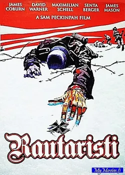 Rautaristi