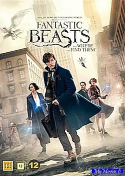 Fantastic Beasts and Where to Find Them / Ihmeotukset ja niiden olinpaikat