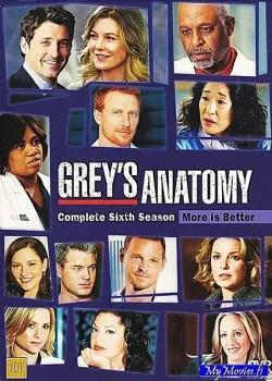 Grey’s Anatomy / Greyn Anatomia - Kausi 06