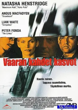 Vaaran kahdet kasvot