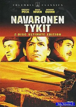 Navaronen tykit