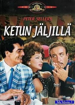 Ketun jäljillä