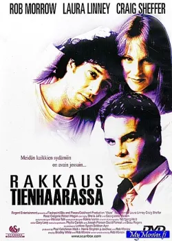Rakkaus tienhaarassa