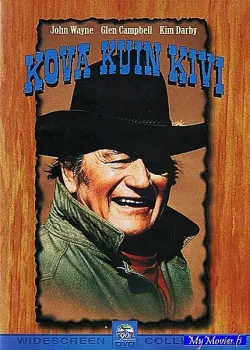 Kova kuin kivi