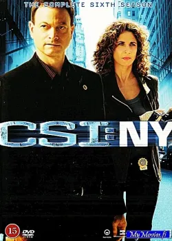 CSI: New York - Kausi 6