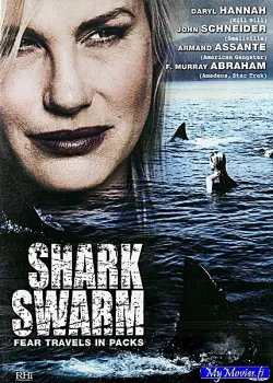 Shark Swarm