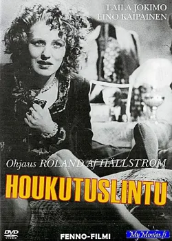 Houkutuslintu