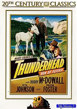 Thunderhead - Son of Flicka (20th Century Classics nro59)