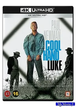 Cool Hand Luke / Lannistumaton Luke (4K Ultra HD)