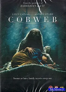 Cobweb