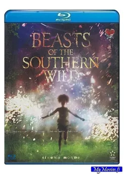 Beasts of the Southern Wild (Blu-ray)(R&amp;A)