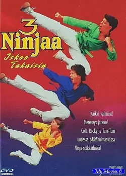 3 Ninjaa iskee takaisin