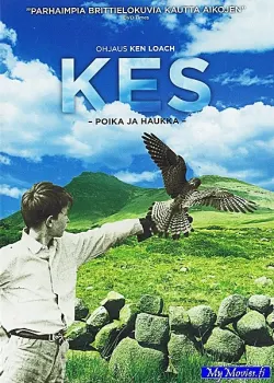 Kes - Poika ja haukka