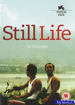 Still Life