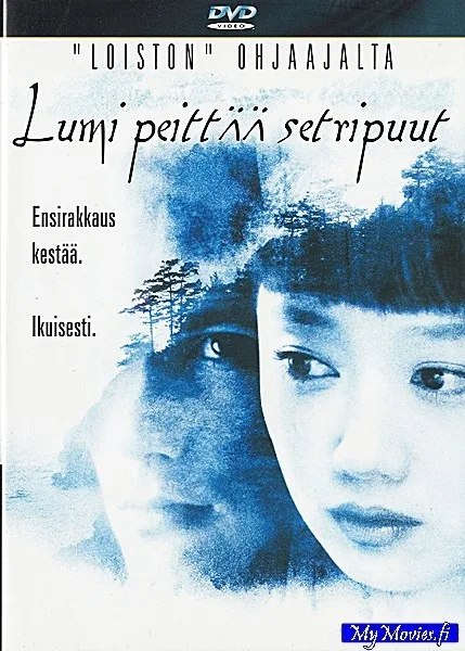 Lumi peittää setripuut