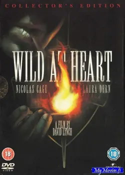 Wild at Heart - Villi sydän