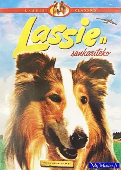 Lassien sankariteko