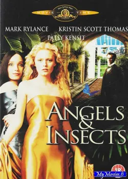 Angels and Insects