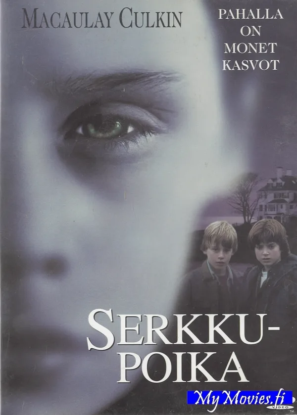 Serkkupoika