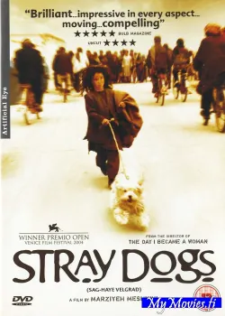 Stray Dogs